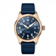 Pilot's Watch Mark XX Le Petit Prince