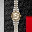 TUDOR Royal Watch - M2830A1A3-0003 at Leonardo Jewelers