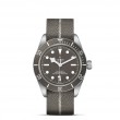 TUDOR Black Bay 58 Watch - M79010SG-0002 at Leonardo Jewelers