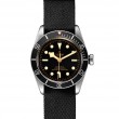 Tudor Black Bay 41mm Steel