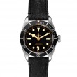 Tudor Black Bay 41mm Steel