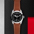 Tudor Black Bay 41mm Steel