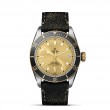 TUDOR Black Bay Watch - M79733N-0003 at Leonardo Jewelers