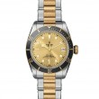 TUDOR Black Bay Watch - M79733N-0004 at Leonardo Jewelers