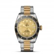 TUDOR Black Bay Watch - M79733N-0004 at Leonardo Jewelers