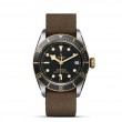 TUDOR Black Bay Watch - M79733N-0005 at Leonardo Jewelers