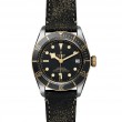 TUDOR Black Bay Watch - M79733N-0007 at Leonardo Jewelers