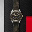 TUDOR Black Bay Watch - M79733N-0007 at Leonardo Jewelers