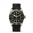 TUDOR Black Bay Watch - M79733N-0007 at Leonardo Jewelers