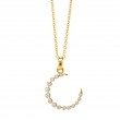 SYNA Cosmic Crescent Moon Charm