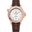 Seamaster Diver 300M