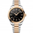 Omega SeaMaster Aqua Terra 41mm (150M)