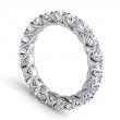 Platinum Trellis Eternity Band