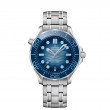 Diver 300M Co?Axial Master Chronometer 42 Mm