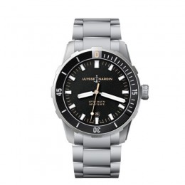 Diver 42 mm