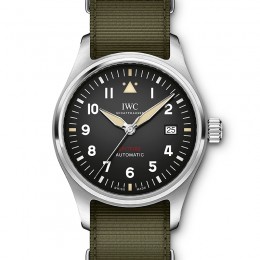 Pilot