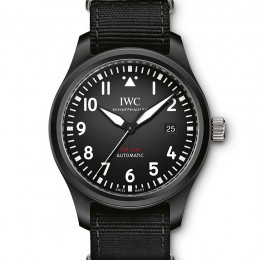 Pilot