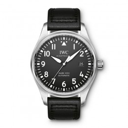 Pilot