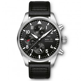 Pilot