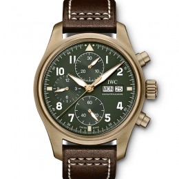 Pilot