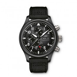 Pilot