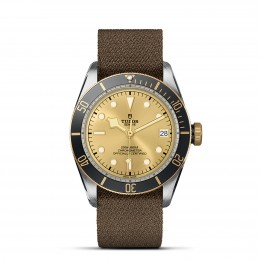 Tudor Black Bay S&G 41mm Steel And Gold