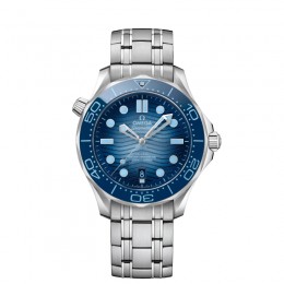 Diver 300M Co?Axial Master Chronometer 42 Mm