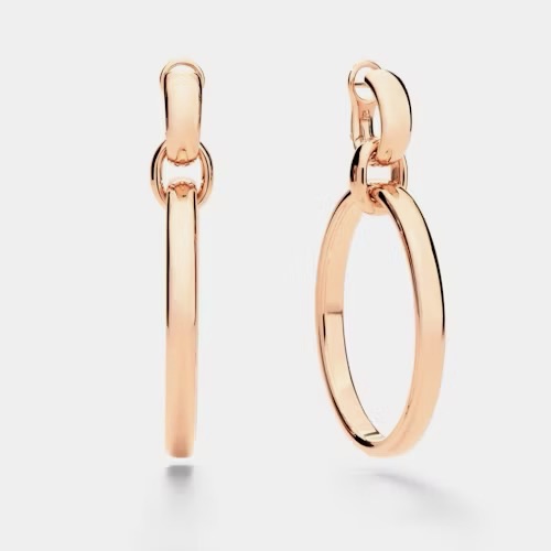 Iconica Earrings