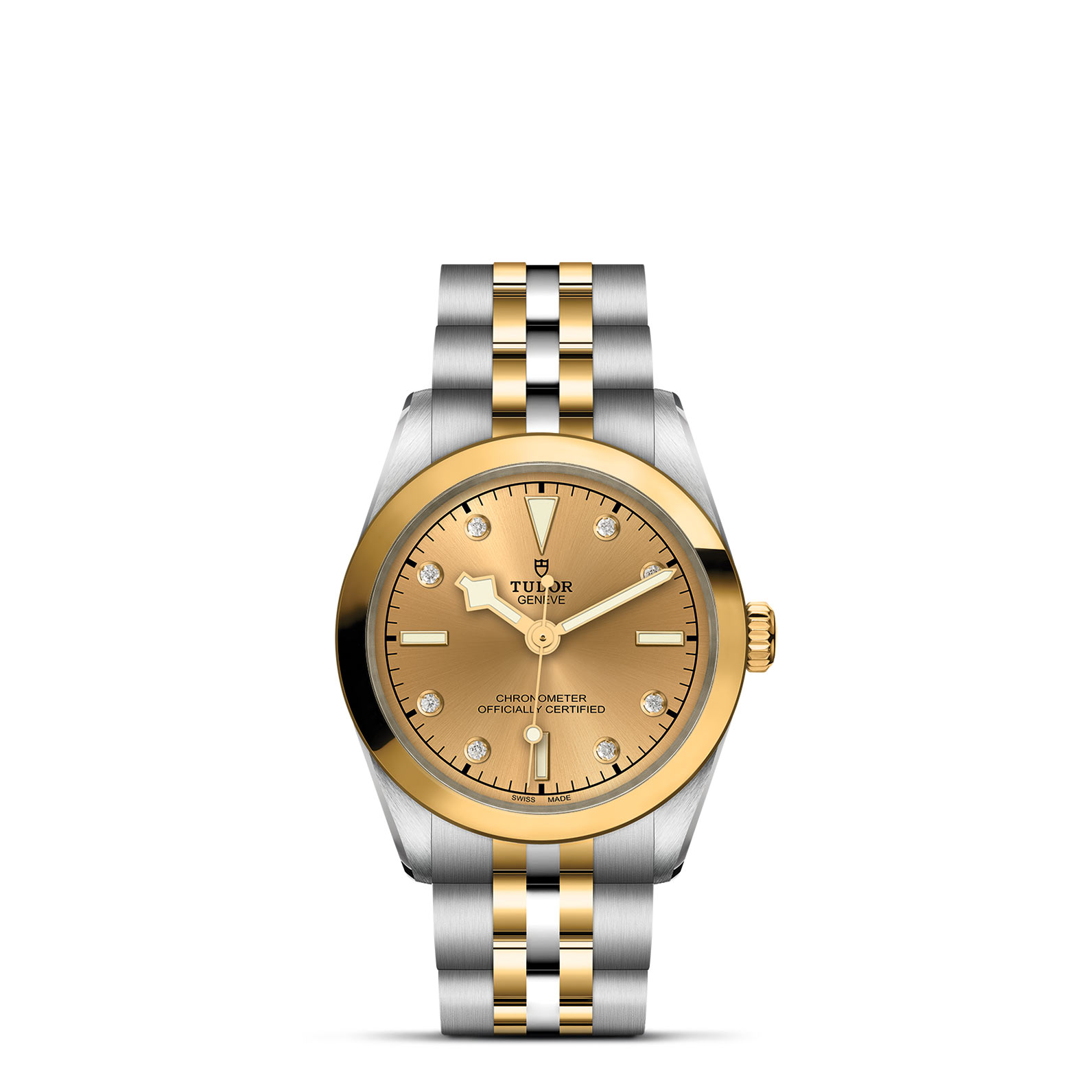 TUDOR Black Bay 31 S&G - M79603-0008 at Leonardo Jewelers