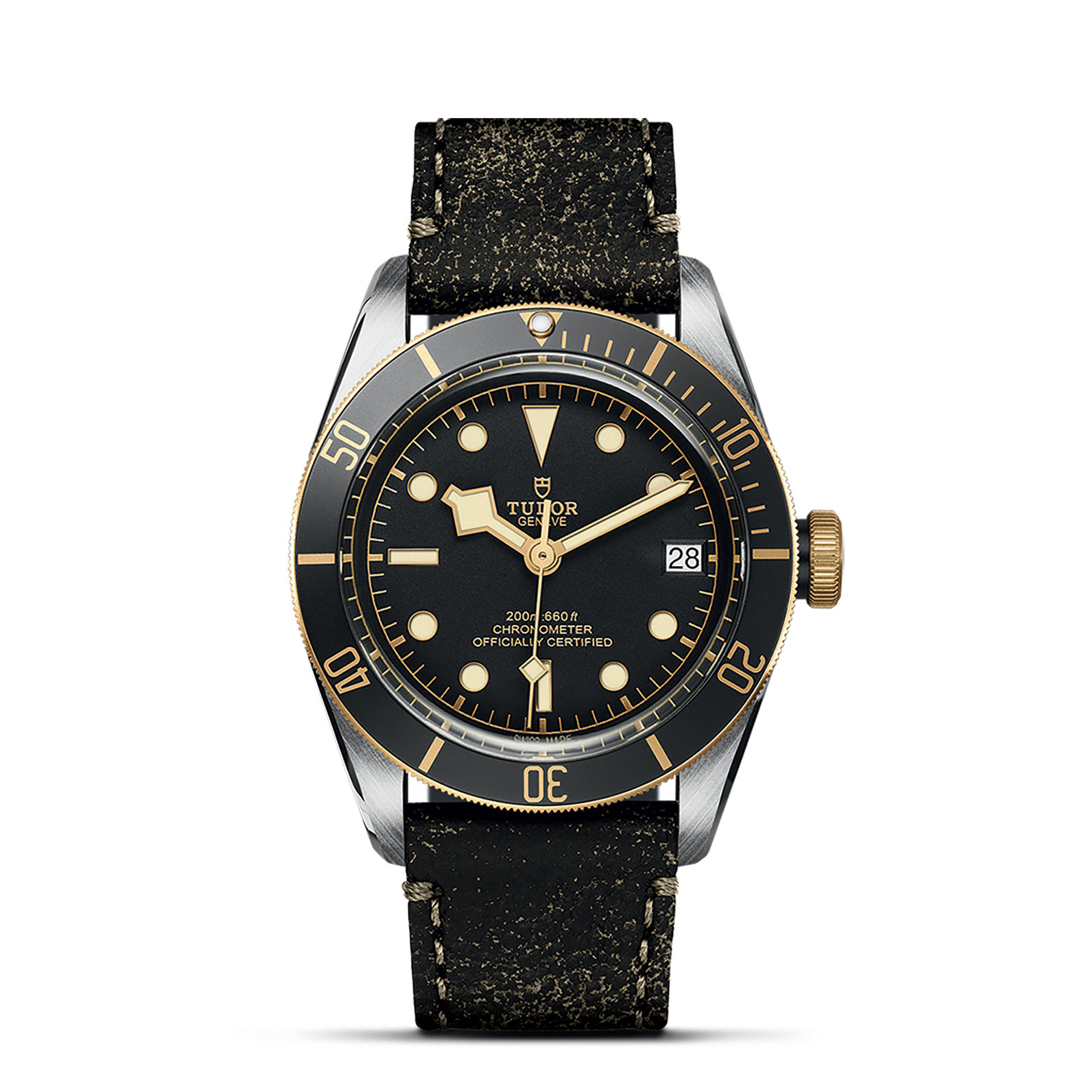TUDOR Black Bay Watch - M79733N-0007 at Leonardo Jewelers